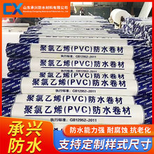 高分子聚氯乙烯pvc防水卷材 地下室建筑工程防水材料 PVC防水卷材