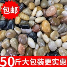 50Zʯ껨ʯͥԺ·䁵Сʯ^ʯ~׻b쾰Zܛʯ