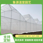 蔬菜瓜果育苗薄膜连栋温室大棚结构简单采光好 连栋薄膜大棚