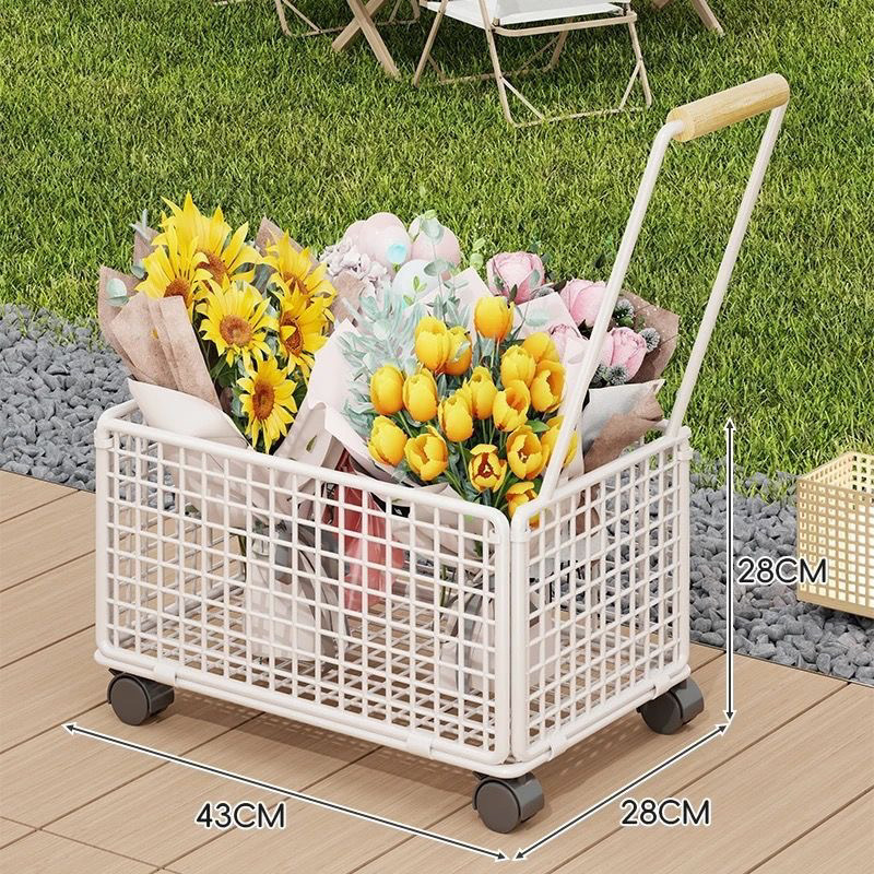 95540c3f-c75d-4c2d-8fc3-679147c2c91a.jpe