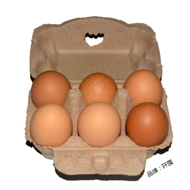 Six in nature wide covered eggs with eggs