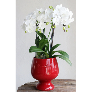 �^���btɫ�����m�����p�ݸ߼��м��û����մɸ��_�Ʊ���ƿ����