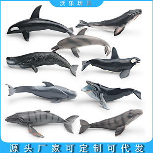 �羳���ķ��溣�����ģ�����~���X��ʳ�������L�������ߔ[��