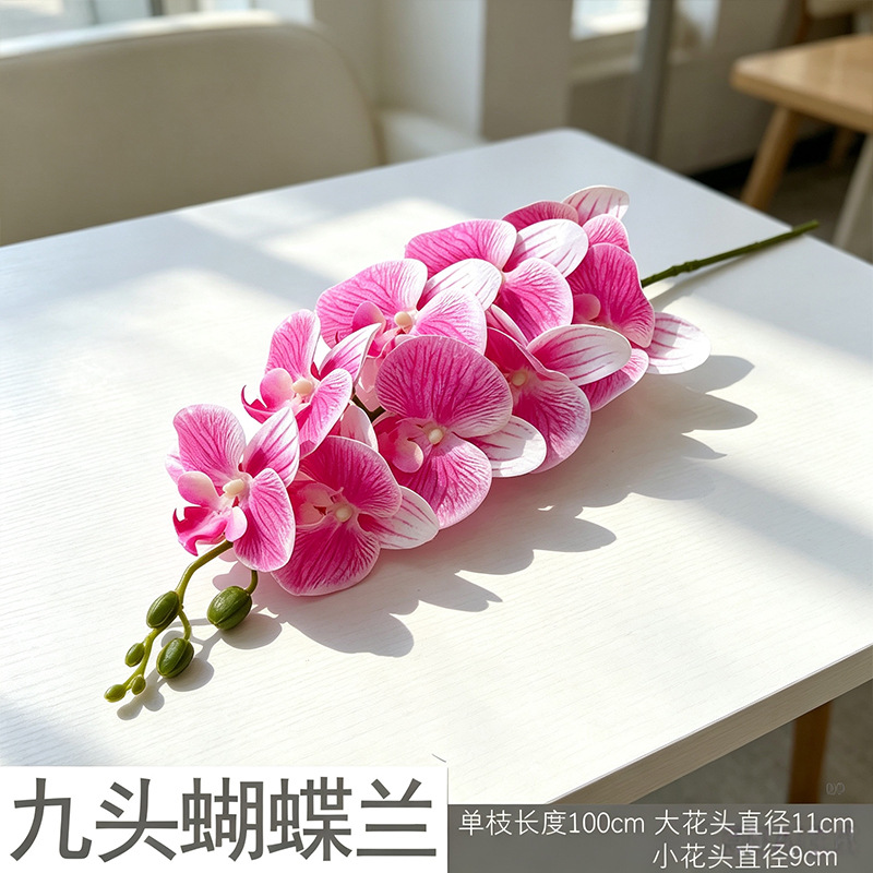 3D Phalaenopsis mới/hồng đậm