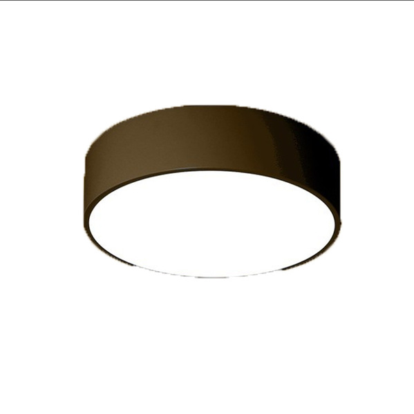 LED modern ceiling light for bedroom