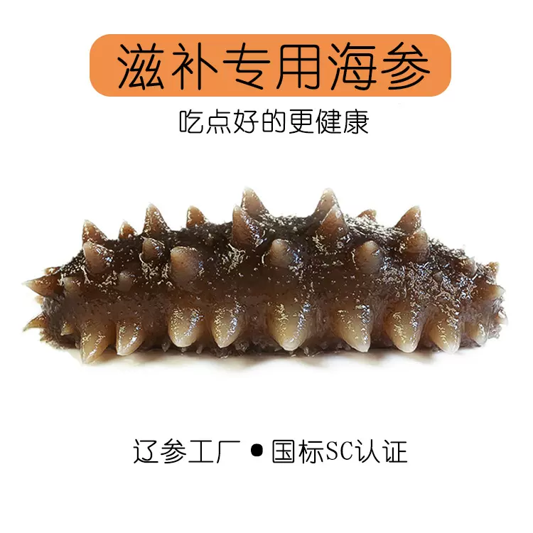 国标即食海参冷冻大连刺参500g袋装厂家海参批发顺丰发货