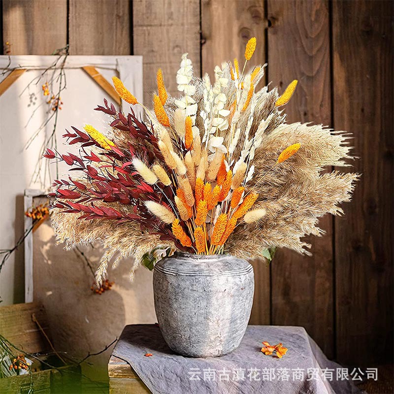 100 3 (상자 포함)