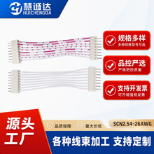 SCN2.54端子线2468红白排线26AWG0.12非标线束加工单双头连接线