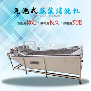 气泡式蔬菜清洗机 多功能翻浪洗菜机 西兰花娃娃菜清洗设备