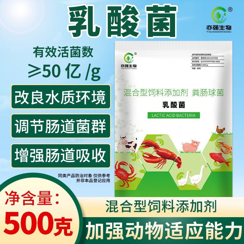 50亿/克乳酸菌（粪链球菌）肠道改善消化水质净化水产养殖生物菌