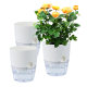 Cross-Border Olinze Flower Pot Self-Absorbing Lazy Flower Pot Household Resin Flower Pot Transparent Double-Layer Flower Pot Succulent Flower Pot