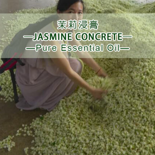 ӡ��������ྫ��ԭ��JasmineConcrete���㷼�㯟������