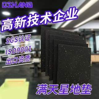 满天星地垫运动橡胶地板垫EPDM室内健身房专用隔音防滑减震垫家用
