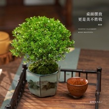 С�~����辰�����Ϙ���������ֲ���҃��ļ�����U��������B�Gֲ