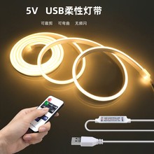 USB霓虹硅胶软灯带5V触摸遥控调光室内装饰造型led嵌入式防水灯条
