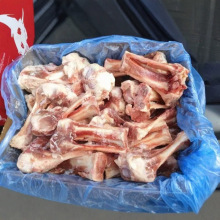 ��������i��� �i�ȹ� �i�����ӹǃ�؛������i�����l