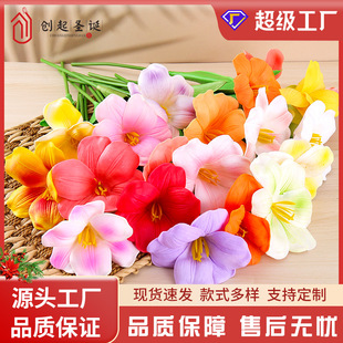 ����������W����������Y��c�����͏d�b[���Ҿ��b���ָб���