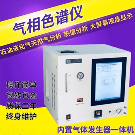 其他仪器仪表;气体检测仪;其他气体分析