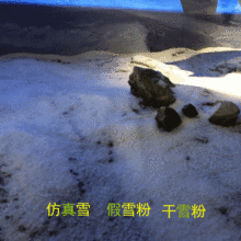 工厂现货拍戏橱窗造景仿真雪装饰场景布置摄影雪粉白色干雪粉批发