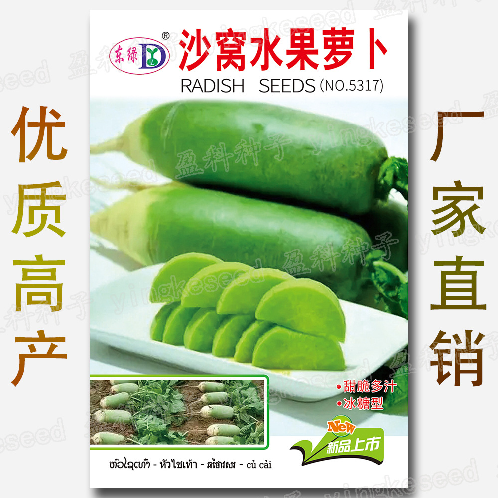 水果萝卜种子甜脆罗卜种籽青皮绿心生吃沙窝蔬菜种潍县青山东潍坊