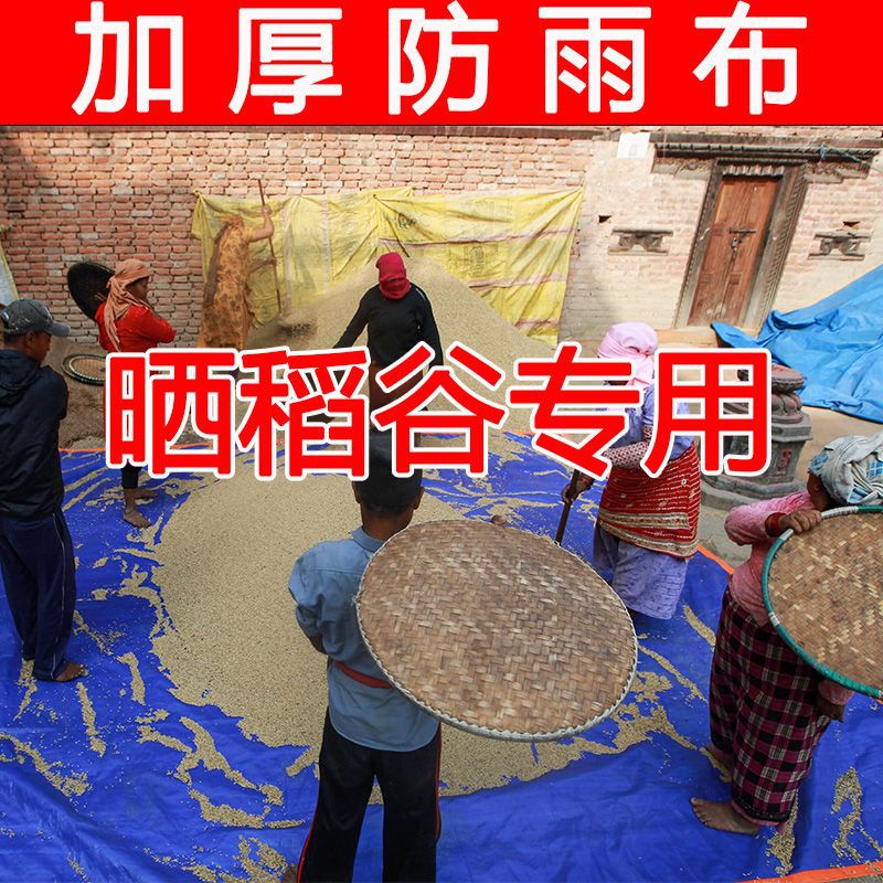 盖粮食雨布地面防潮遮阳晒谷篷布神器布晒玉米谷子耐用轻便