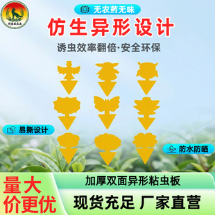 ����ճ�x�屬����p���S�及�������T�x����@����ֲ��Gֲ����