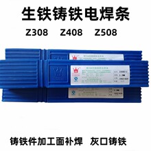 Z308�T�F���lEZNi-1����T�F�ҿ��T�FENi-CI���F���l