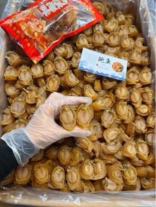 产地货源大连鲍鱼干A货大连吉品鲍鱼淡干小鲍鱼黄金鲍 厂家直销