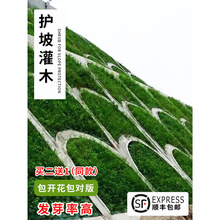 �o�¹�ľ�N�Ӵ̻����뻱��N���󻱺�֦��܇ɣ���y�Ϛg�iʺ��ľ��