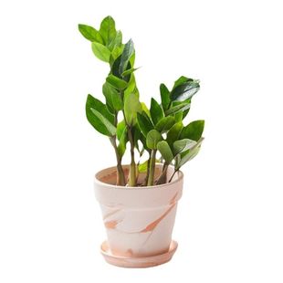 �t�ջ��莧�бP͸��������͏d�̨����ֲ���մ������¿�