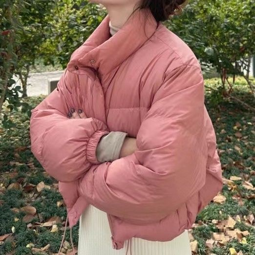Europese versie 90 Witte Eendendons Winter Nieuw Koreaans Dongdaemun Origineel Pufferjack met Opstaande Kraag Warme Jas voor Dames_voghion.com
