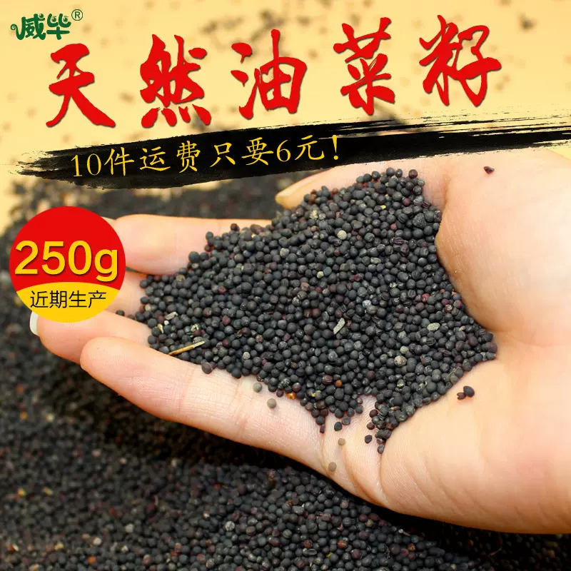 油菜籽鹦鹉饲料鸟食鸟粮玄凤虎皮牡丹鹦鹉粮食鹦鹉吃的粮食250g