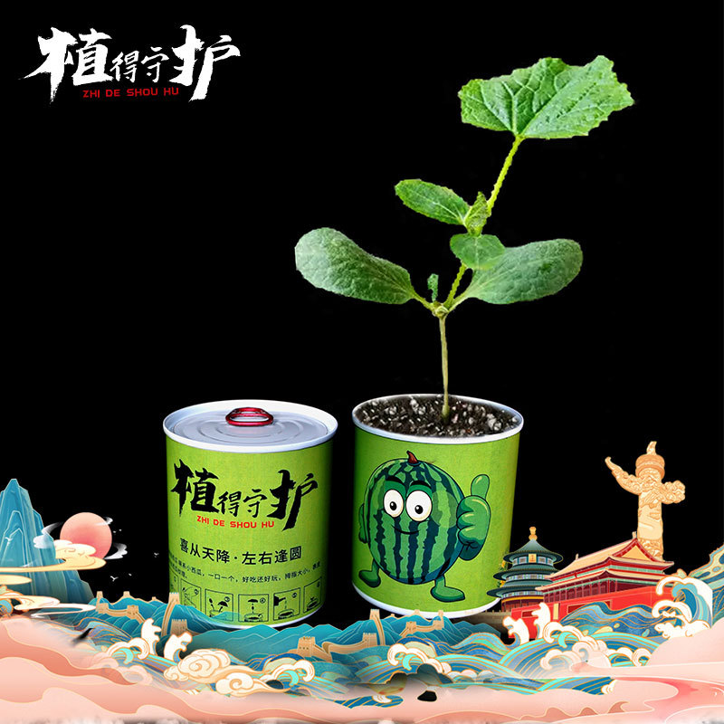 Planting canned pots and green plants for kindergarten children and…