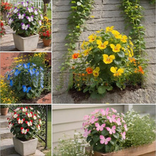 羳̡¹NӺNӽNͥԺ@ܷN