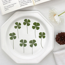 原色四叶草树叶标本幸运草滴胶干花DIY手工材料天然真花压花材料