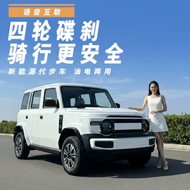 电动代步车;其他电动车