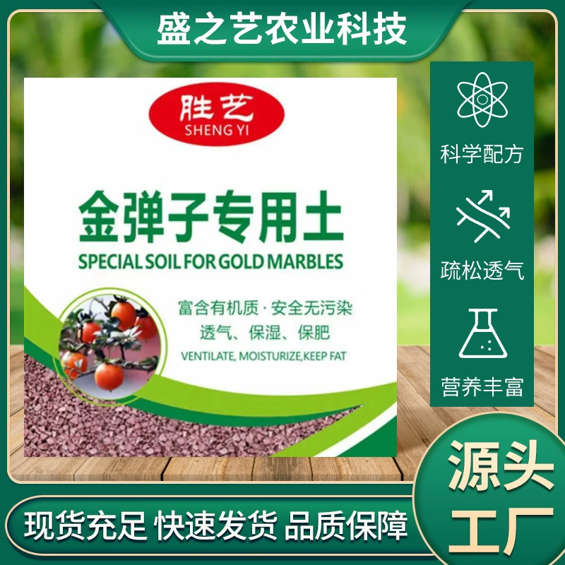 Золотая пула питательная почва старая утка хурма бонсай зеленая посадка