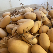 �F�д����̓rҰ�����ϴ����ֺ��J�m���Ӯ����L�����ֹ��YƷ�b�