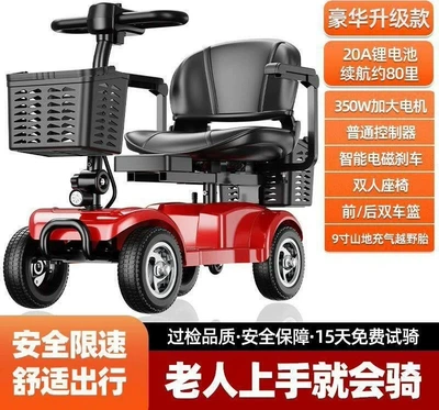 2025 New Model Elderly: Qatlanan elektrik velosipedlər - luxury-upgrade-20a-sky-energy