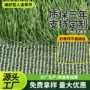 园林镂空编织庭院草皮