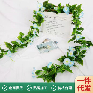 ���栿ţ���l���� �ڒ�Ҿӻ�c���ڵ��@���ܷ���ֲ�ﻨ�ټٻ��l