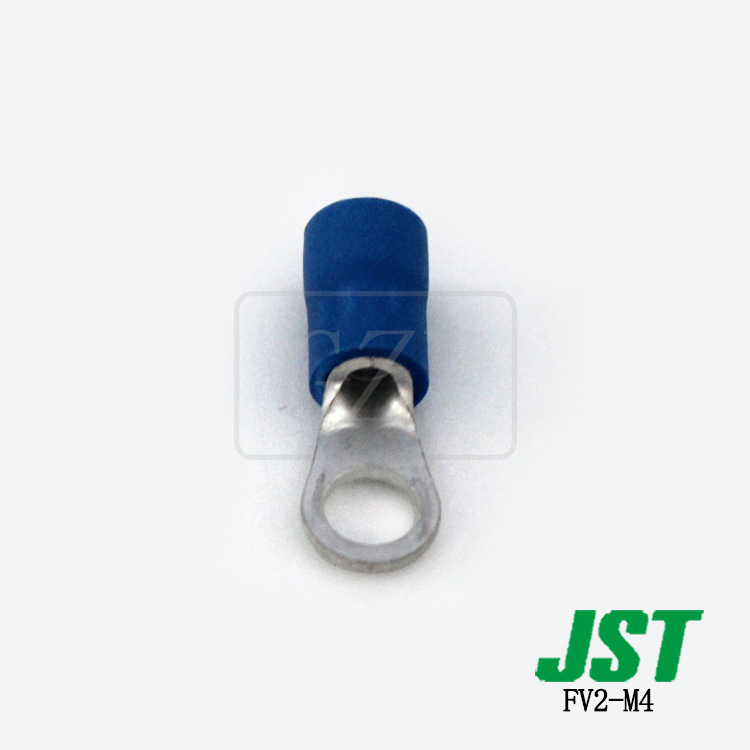 ɶ FV2-M4 ѹ JST