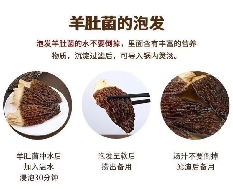 Fresh Morel Mushrooms Yang Du Jun 500g Jilin Origin Direct Supply in use