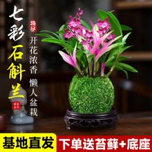 һ�����l�߲���ˮʯ���m���ļ��_���B�Gֲ������ʯ������˯�߾Gֲ