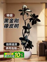 �ڽ�����Ƥ��͏d�������҃ȴ��;Gֲ�ļ����B�̨�k���Ҹ߶�ֲ��