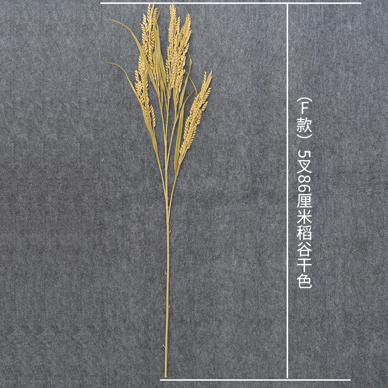 (F) 5 포크 86cm 쌀 (드라이 컬러)