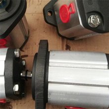 MARZOCCHI RGHP2A-D-20 RX݆ô