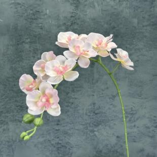 ����9�^��ʽ���������m�Ҿӻ�Y�b鷿���ÿ羳�ٻ��[�����l