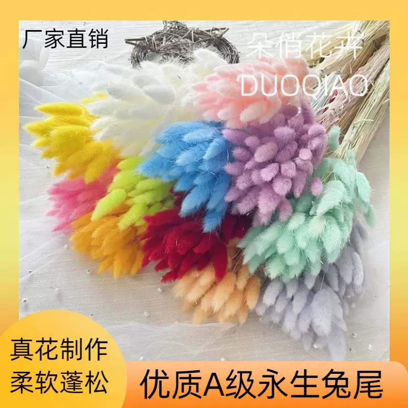 兔尾草55-60支干花天然真花永生花diy田园风摆件家居装迷你永生花