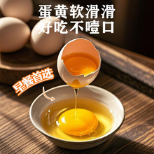 河北张家口蔚县柴鸡蛋绿鸡蛋12板/箱30枚/板360枚箱装散养柴鸡蛋